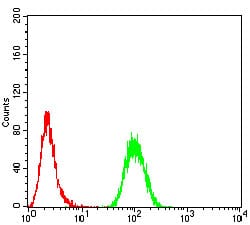 Figure 5:Flow cytometric analysis of HeLa cells using SK2 mouse mAb (green) and negative control (red).