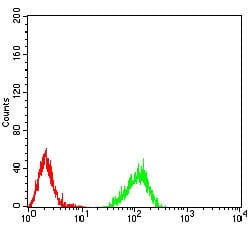 Figure 3:Flow cytometric analysis of Raji cells using HIST2H4A(20Me3) mouse mAb (green) and negative control (red).