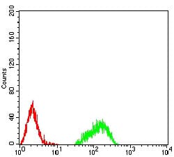 Figure 2:Flow cytometric analysis of Raji cells using HIST2H4A(20Me3) mouse mAb (green) and negative control (red).