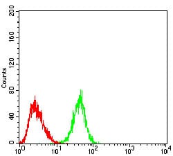 Figure 5:Flow cytometric analysis of HeLa cells using SIRT4 mouse mAb (green) and negative control (red).