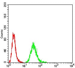 Figure 6:Flow cytometric analysis of HeLa cells using DDX20 mouse mAb (green) and negative control (red).