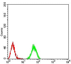 Figure 3:Flow cytometric analysis of *** cells using HIST2H3C(27Ac) mouse mAb (green) and negative control (red).