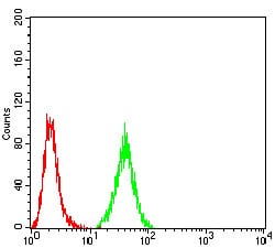 Figure 6:Flow cytometric analysis of HeLa cells using PRDM5 mouse mAb (green) and negative control (red).