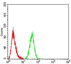 Figure 4:Flow cytometric analysis of HeLa cells using FOXP3 mouse mAb (green) and negative control (red).