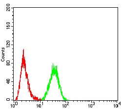 Figure 5:Flow cytometric analysis of Hela cells using HOXA9 mouse mAb (green) and negative control (red).