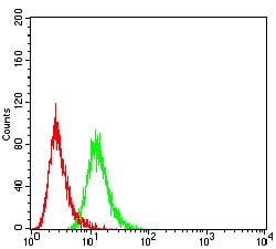 Figure 5:Flow cytometric analysis of HeLa cells using SIRT3 mouse mAb (green) and negative control (red).