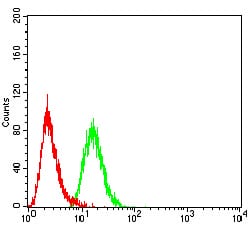 Figure 6:Flow cytometric analysis of Hela cells using Rab5a mouse mAb (green) and negative control (red).