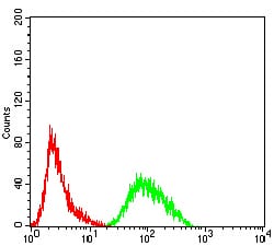 Figure 4:Flow cytometric analysis of HeLa cells using PRDM4 mouse mAb (green) and negative control (red).