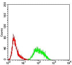 Figure 4:Flow cytometric analysis of Hela cells using PRDM4 mouse mAb (green) and negative control (red).