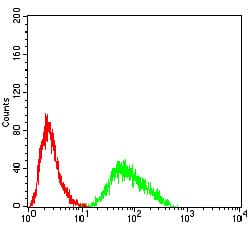 Figure 4:Flow cytometric analysis of Hela cells using SH3GL1 mouse mAb (green) and negative control (red).