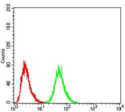 Figure 7:Flow cytometric analysis of Hela cells using DDX3X mouse mAb (green) and negative control (red).