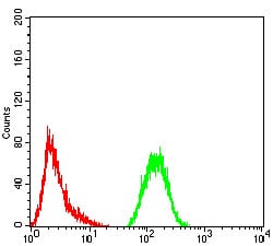 Figure 6:Flow cytometric analysis of Hela cells using GFPT1 mouse mAb (green) and negative control (red).