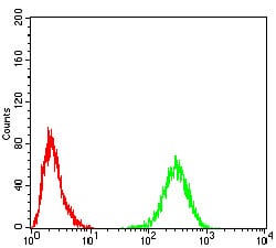 Figure 6:Flow cytometric analysis of Hela cells using TH mouse mAb (green) and negative control (red).