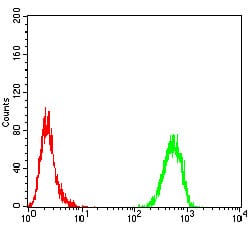 Figure 7:Flow cytometric analysis of MCF-7 cells using TH mouse mAb (green) and negative control (red).