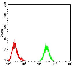 Figure 6:Flow cytometric analysis of Raji cells using PLCG1 mouse mAb (green) and negative control (red).