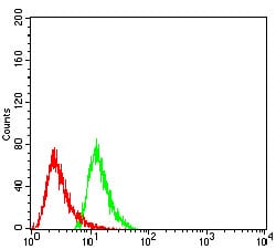 Figure 4:Flow cytometric analysis of Hela cells using HDAC6 mouse mAb (green) and negative control (red).