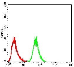 Figure 6:Flow cytometric analysis of HepG2 cells using RF1 mouse mAb (green) and negative control (red).