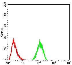 Figure 5:Flow cytometric analysis of Hela cells using CFHR5 mouse mAb (green) and negative control (red).