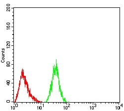 Figure 4:Flow cytometric analysis of Hela cells using Rab1b mouse mAb (green) and negative control (red).