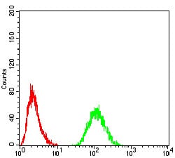 Figure 6:Flow cytometric analysis of Hela cells using RAD21 mouse mAb (green) and negative control (red).