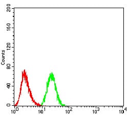 Figure 5:Flow cytometric analysis of A549 cells using PRDM14 mouse mAb (green) and negative control (red).