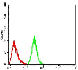 Figure 4:Flow cytometric analysis of Hela cells using PRDM14 mouse mAb (green) and negative control (red).