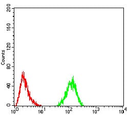 Figure 5:Flow cytometric analysis of Hela cells using RAD50 mouse mAb (green) and negative control (red).