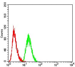 Figure 7:Flow cytometric analysis of Hela cells using MAP2K3 mouse mAb (green) and negative control (red).