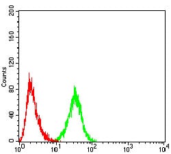 Figure 6:Flow cytometric analysis of Hela cells using SERPINA1 mouse mAb (green) and negative control (red).