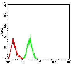 Figure 5:Flow cytometric analysis of Hela cells using DDX5 mouse mAb (green) and negative control (red).