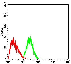 Figure 5:Flow cytometric analysis of HepG2 cells using DNMT3L mouse mAb (green) and negative control (red).