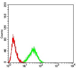 Figure 5:Flow cytometric analysis of Hela cells using AKT1 mouse mAb (green) and negative control (red).