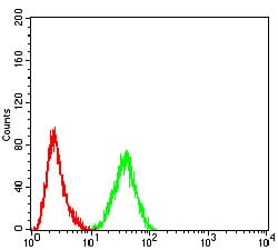 Figure 4:Flow cytometric analysis of Hela cells using PELP1 mouse mAb (green) and negative control (red).