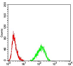 Figure 8:Flow cytometric analysis of Hela cells using LMNB2 mouse mAb (green) and negative control (red).