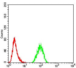 Figure 6:Flow cytometric analysis of Hela cells using TRAF2 mouse mAb (green) and negative control (red).