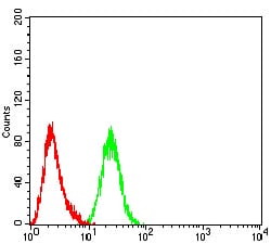 Figure 6:Flow cytometric analysis of Hela cells using ARF1 mouse mAb (green) and negative control (red).