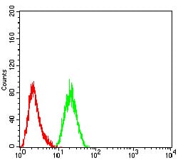 Figure 4:Flow cytometric analysis of Hela cells using ARF1 mouse mAb (green) and negative control (red).