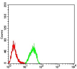 Figure 6:Flow cytometric analysis of Hela cells using PLD2 mouse mAb (green) and negative control (red).