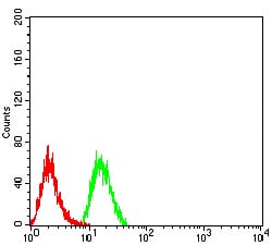 Figure 3:Flow cytometric analysis of Hela cells using PLD2 mouse mAb (green) and negative control (red).