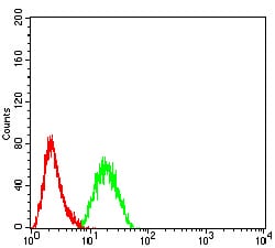 Figure 5:Flow cytometric analysis of Hela cells using CD2 mouse mAb (green) and negative control (red).