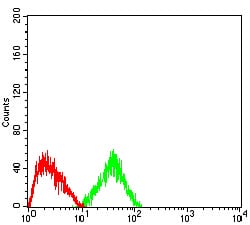 Figure 6:Flow cytometric analysis of HepG2 cells using CD2 mouse mAb (green) and negative control (red).