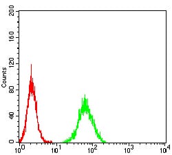 Figure 6:Flow cytometric analysis of A549 cells using PGRMC1 mouse mAb (green) and negative control (red).