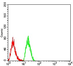 Figure 4:Flow cytometric analysis of Hela cells using TTF1 mouse mAb (green) and negative control (red).