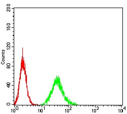 Figure 4:Flow cytometric analysis of A549 cells using DAPP1 mouse mAb (green) and negative control (red).