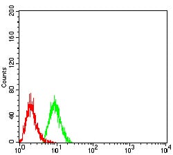 Figure 5:Flow cytometric analysis of Hela cells using TRAF2 mouse mAb (green) and negative control (red).