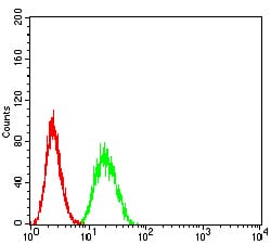 Figure 4:Flow cytometric analysis of Hela cells using SUZ12 mouse mAb (green) and negative control (red).