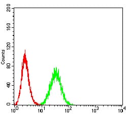 Figure 6:Flow cytometric analysis of Hela cells using PTPN14 mouse mAb (green) and negative control (red).