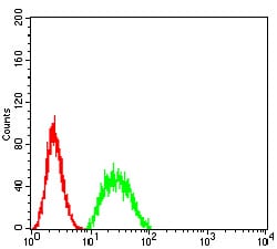 Figure 5:Flow cytometric analysis of Hela cells using BIN1 mouse mAb (green) and negative control (red).