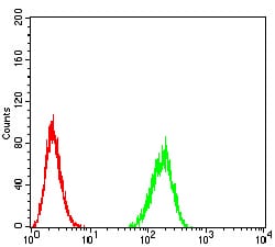 Figure 5:Flow cytometric analysis of Hela cells using BIN1 mouse mAb (green) and negative control (red).