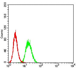 Figure 5:Flow cytometric analysis of Hela cells using C3C mouse mAb (green) and negative control (red).